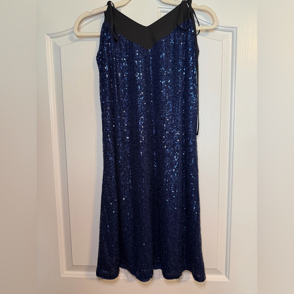 Elegant Blue Sequin Dress